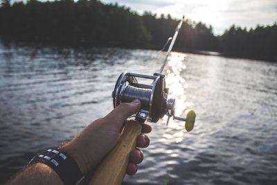 Karper voer: het belang van boilies bij het vangen van karper
